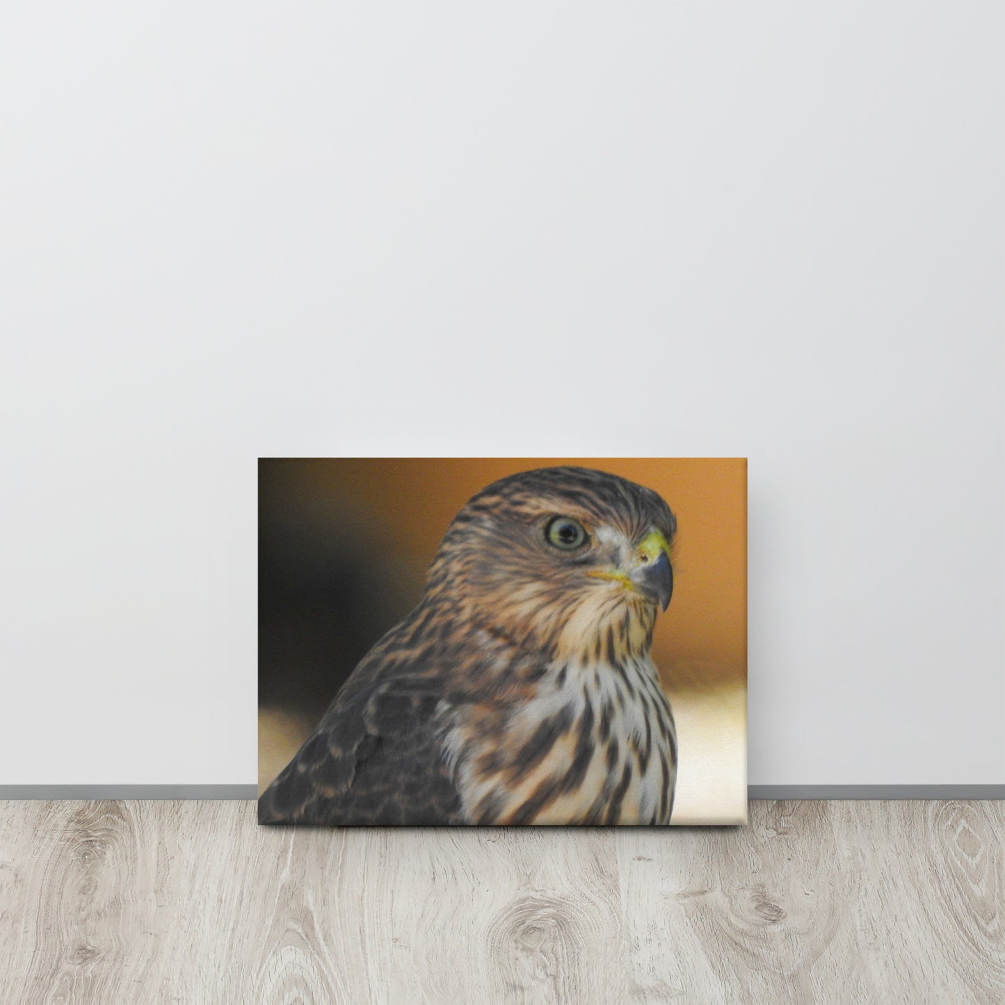 Gentleman Hawk (Canvas)
