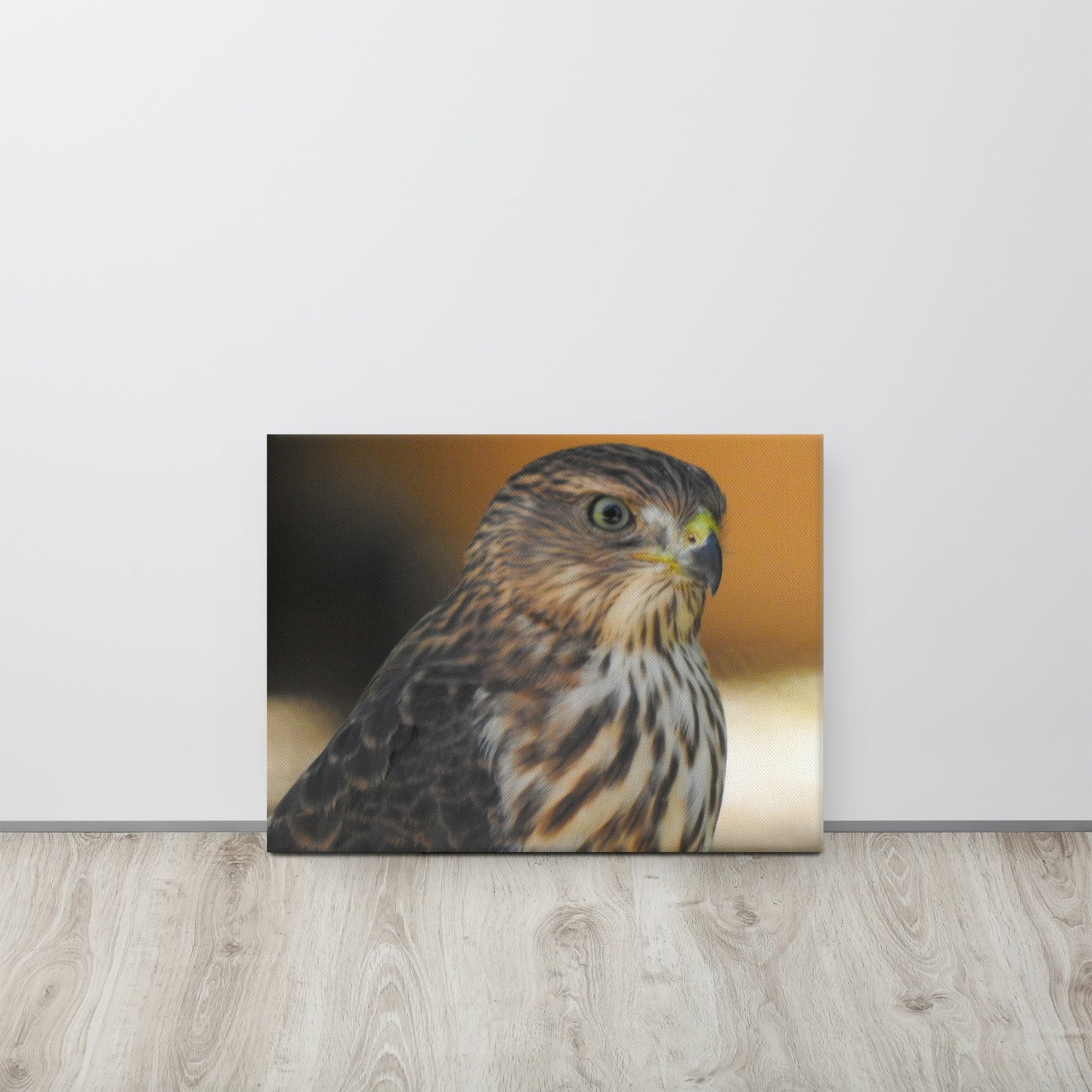 Gentleman Hawk (Canvas)