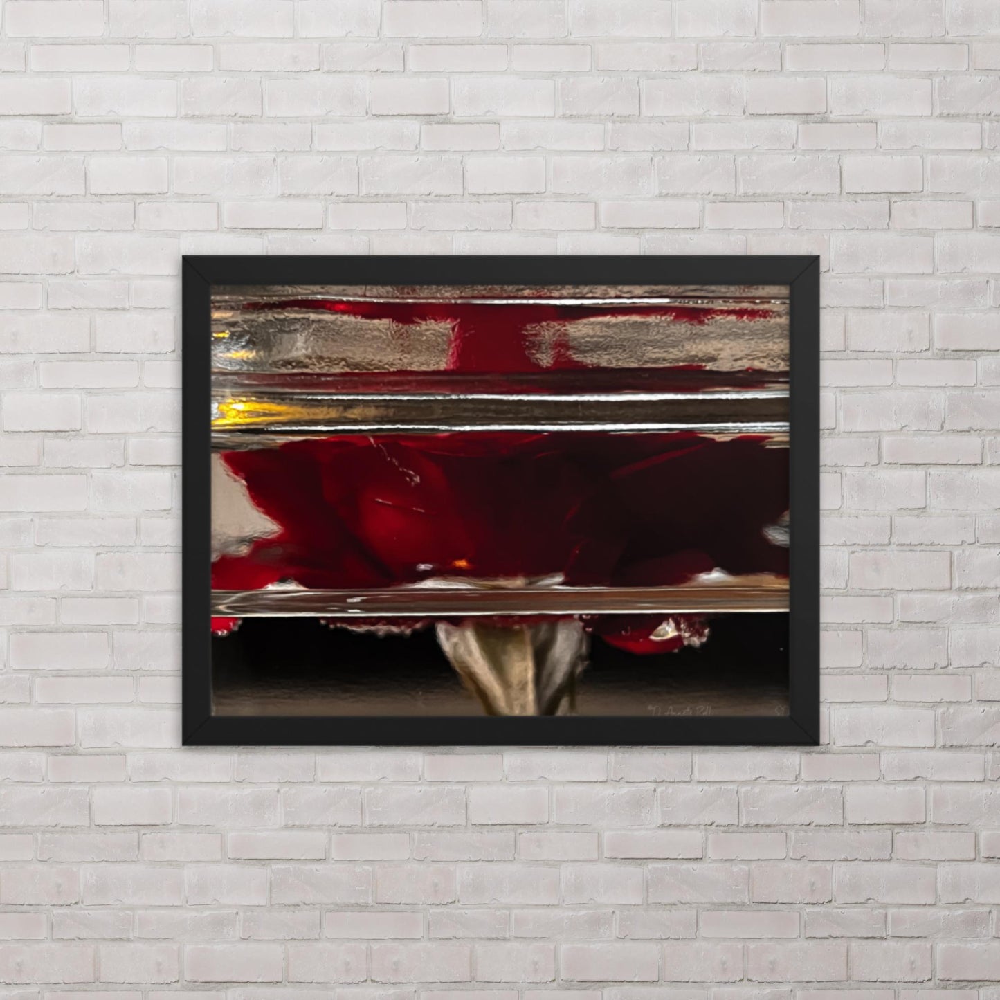 Water Roses (Framed poster)