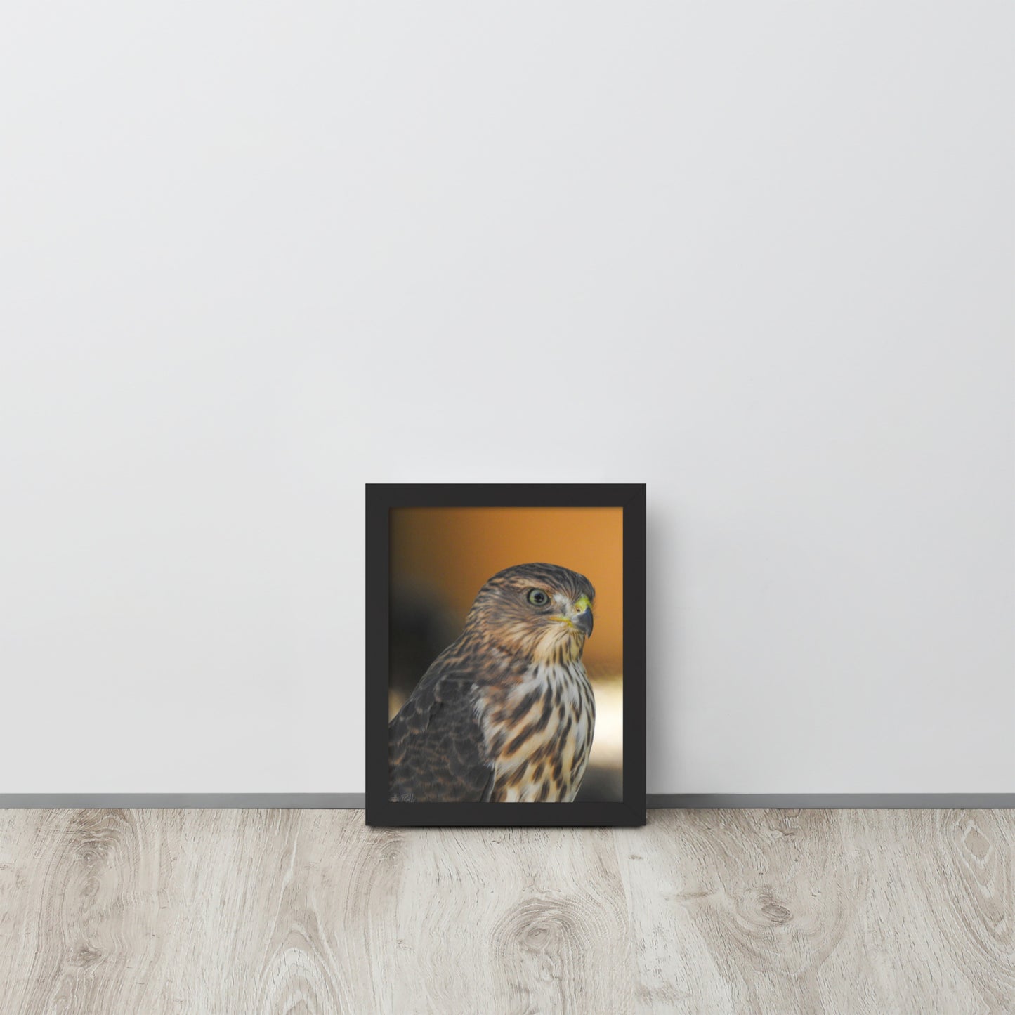 Gentleman Hawk (Framed poster)