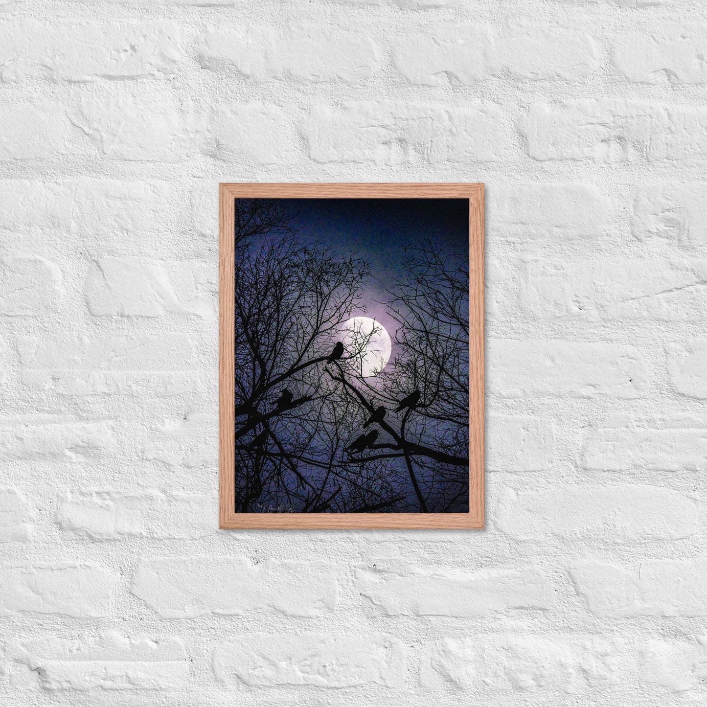 Night Watchers (Framed poster)