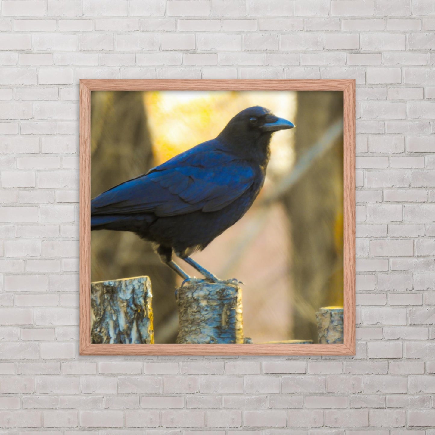 North Raven (Framed poster)