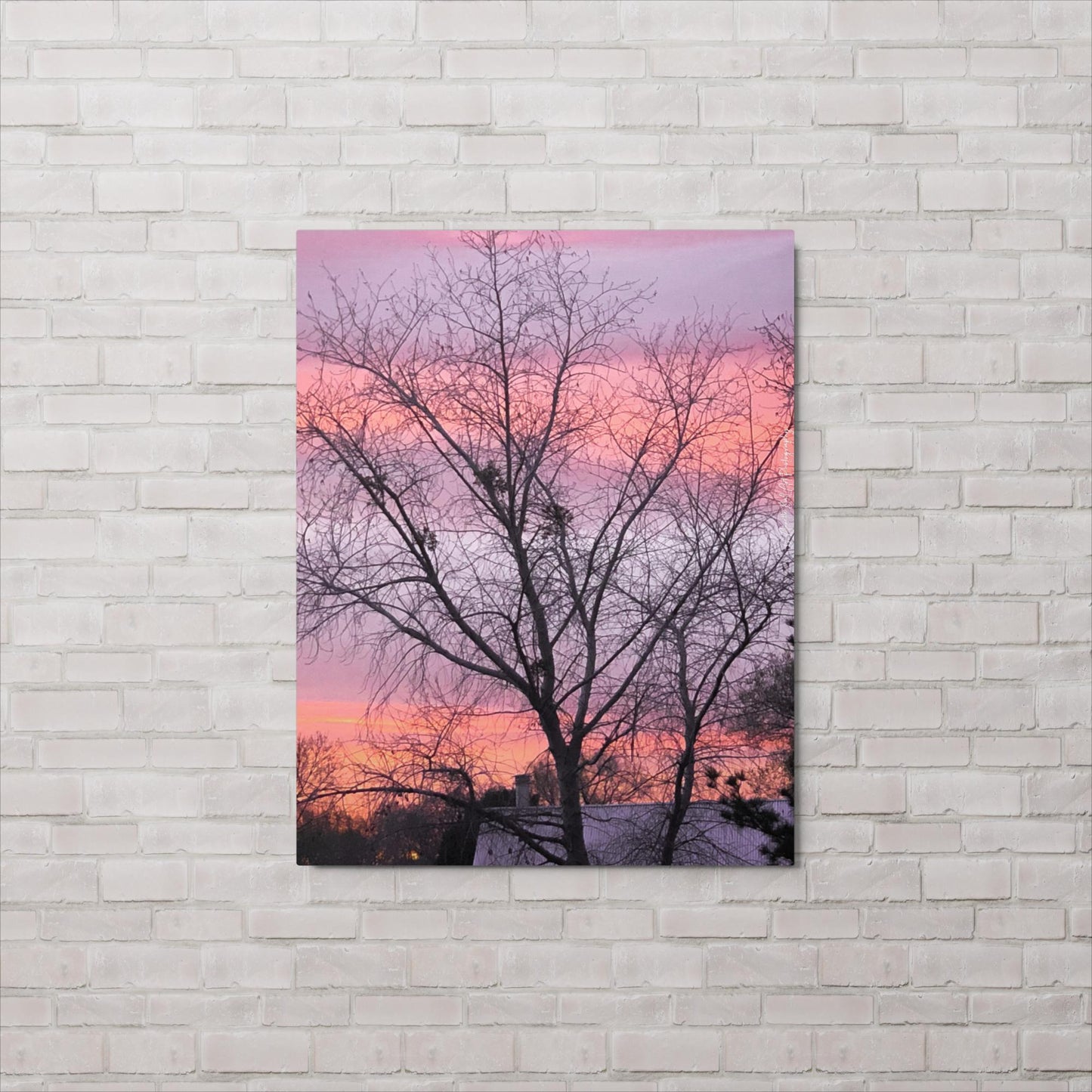 Sugar Candy (Metal print)