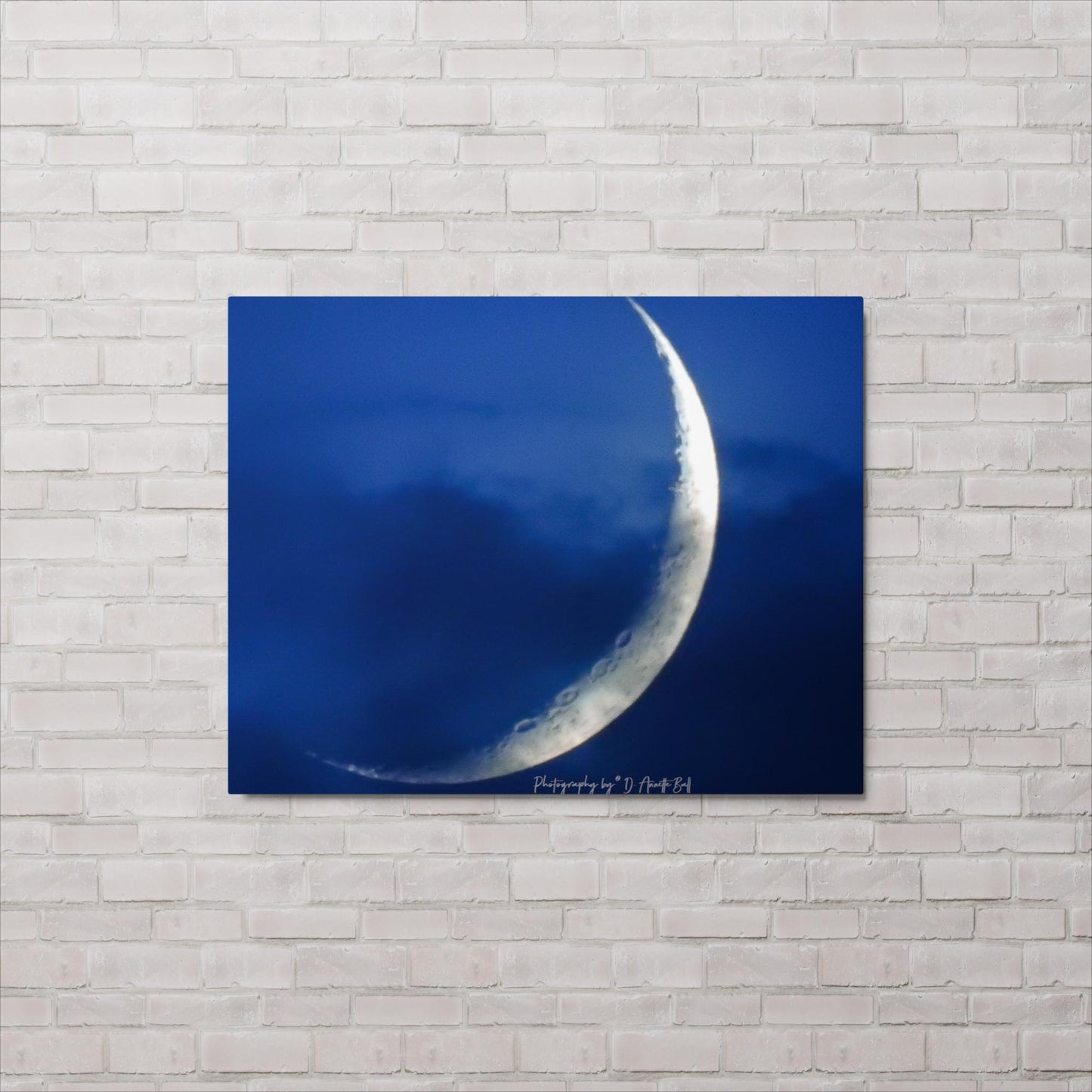 Blue Tone (Metal print)