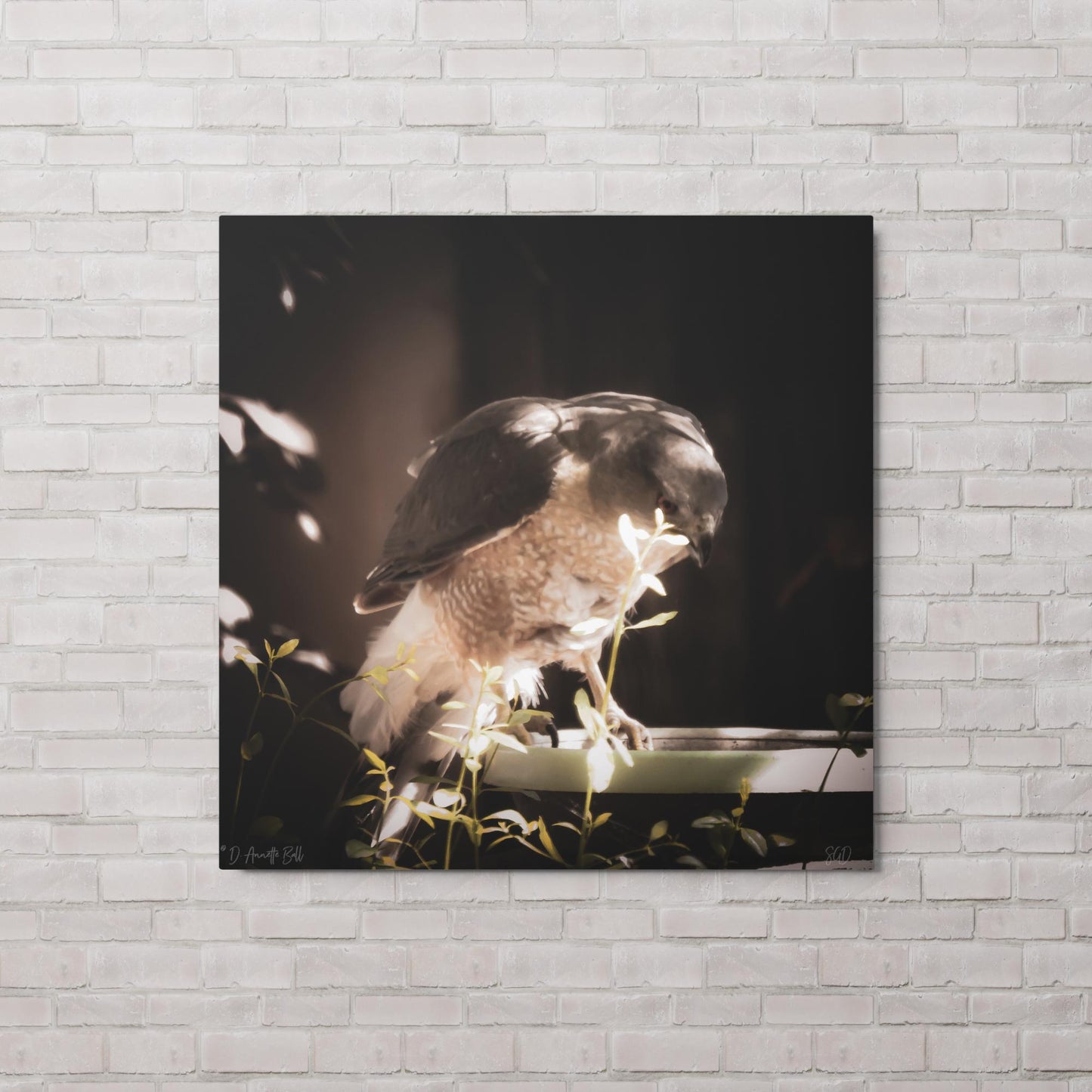 Reflection (Metal print)