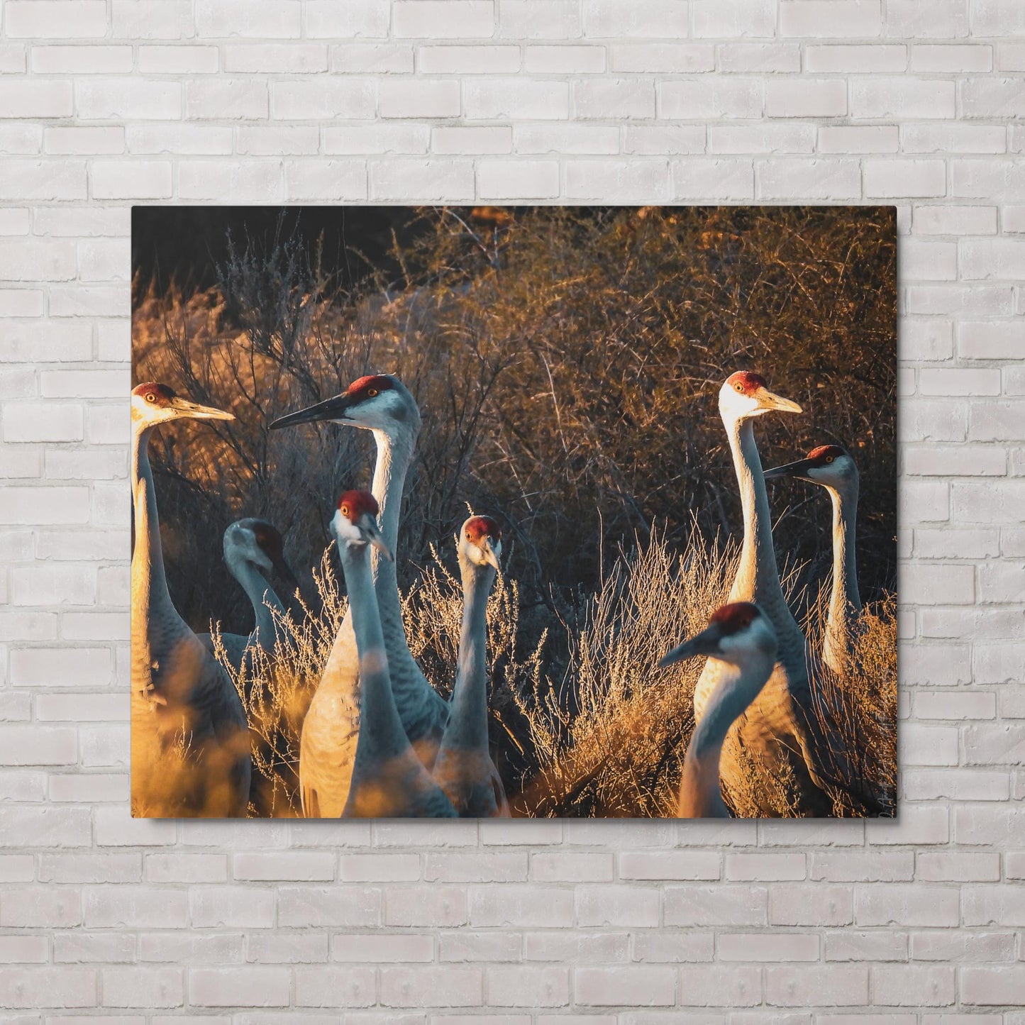 Watchers (Metal print)