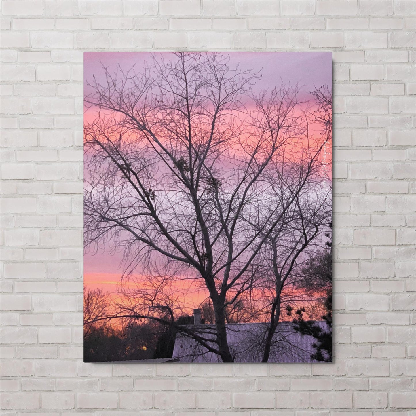 Sugar Candy (Metal print)