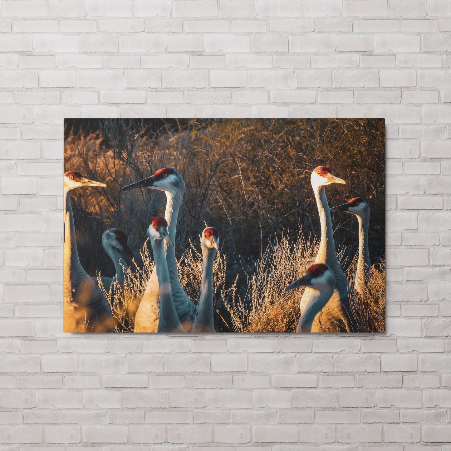 Watchers (Metal print)