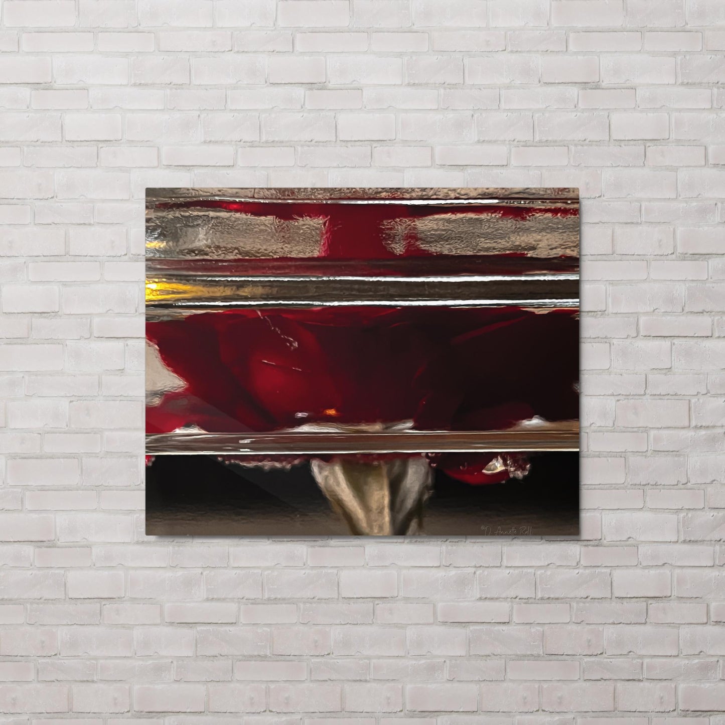 Water Roses (Metal print)