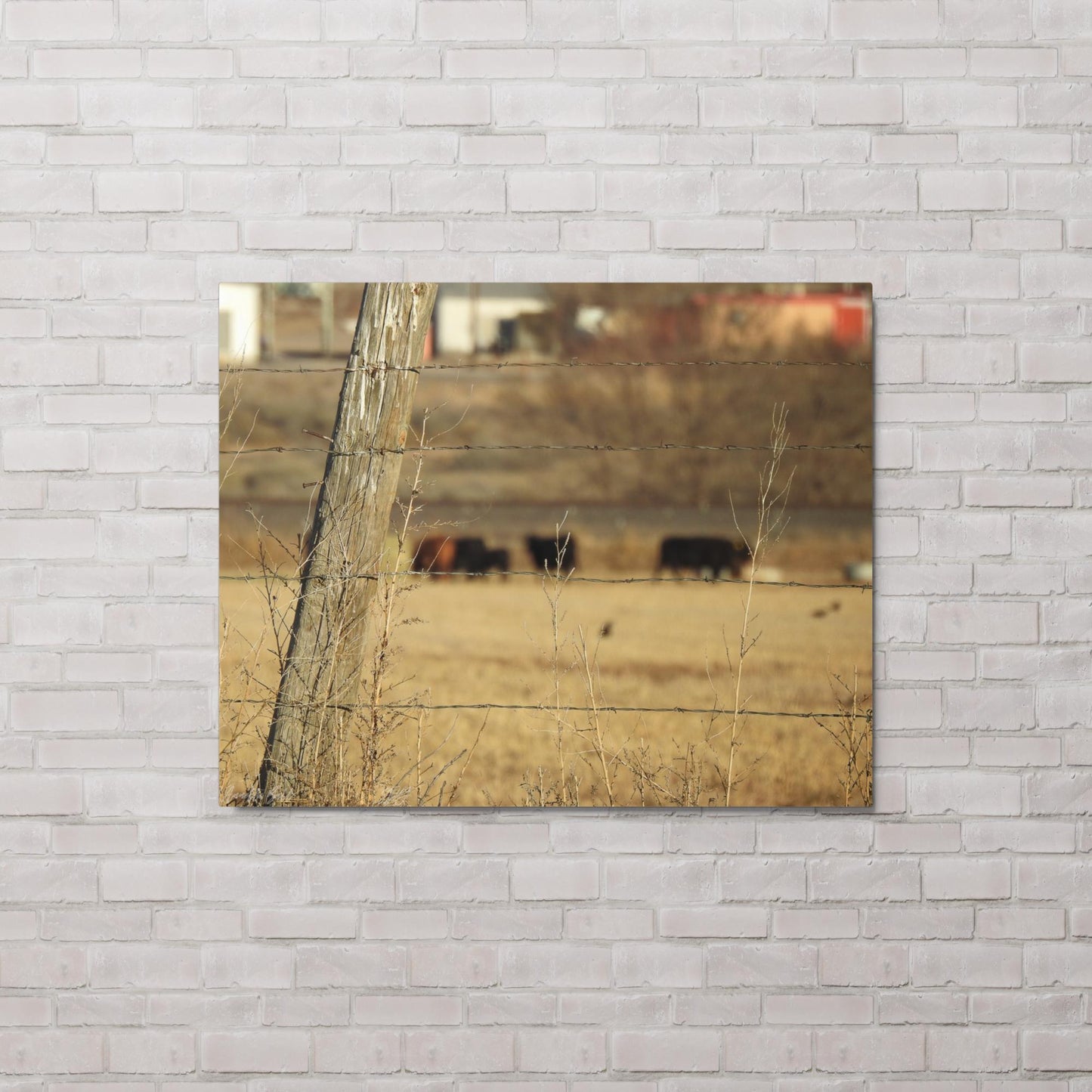 Herd (Metal print)