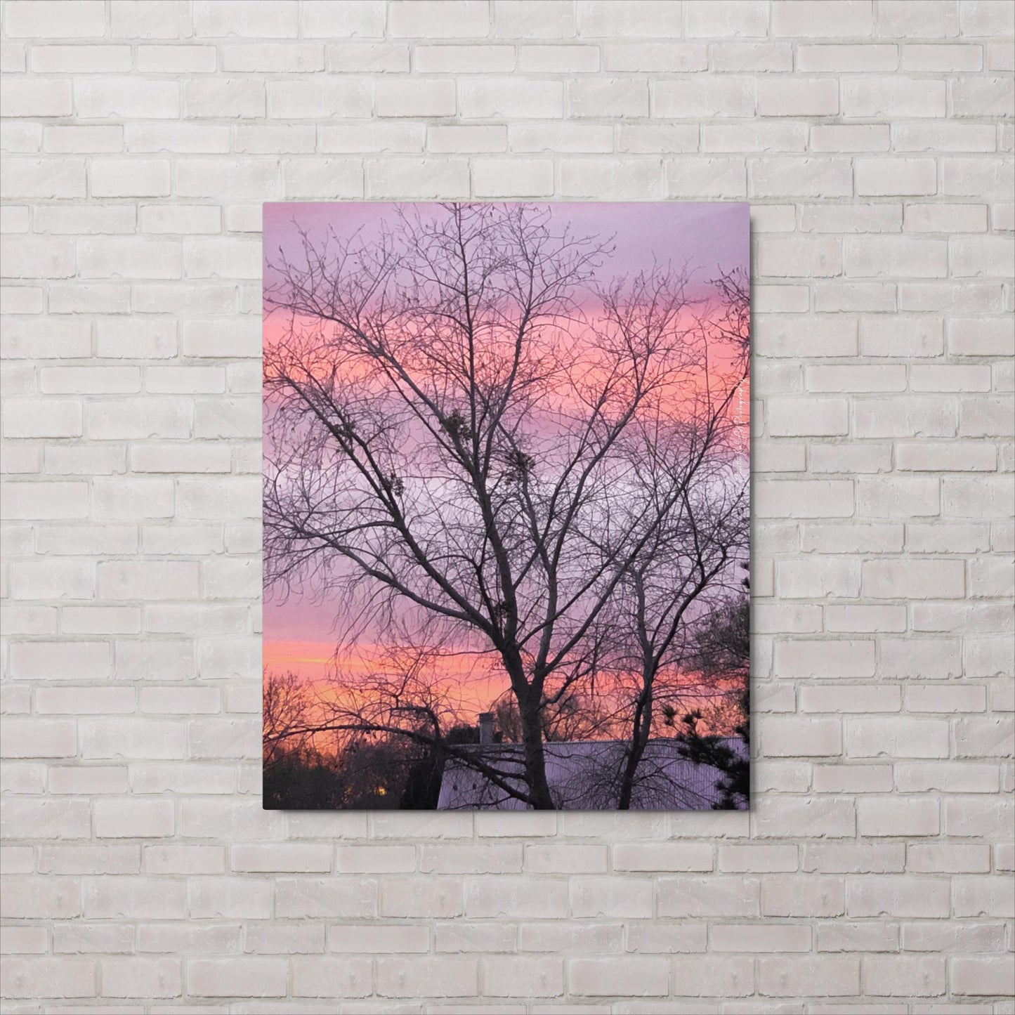 Sugar Candy (Metal print)
