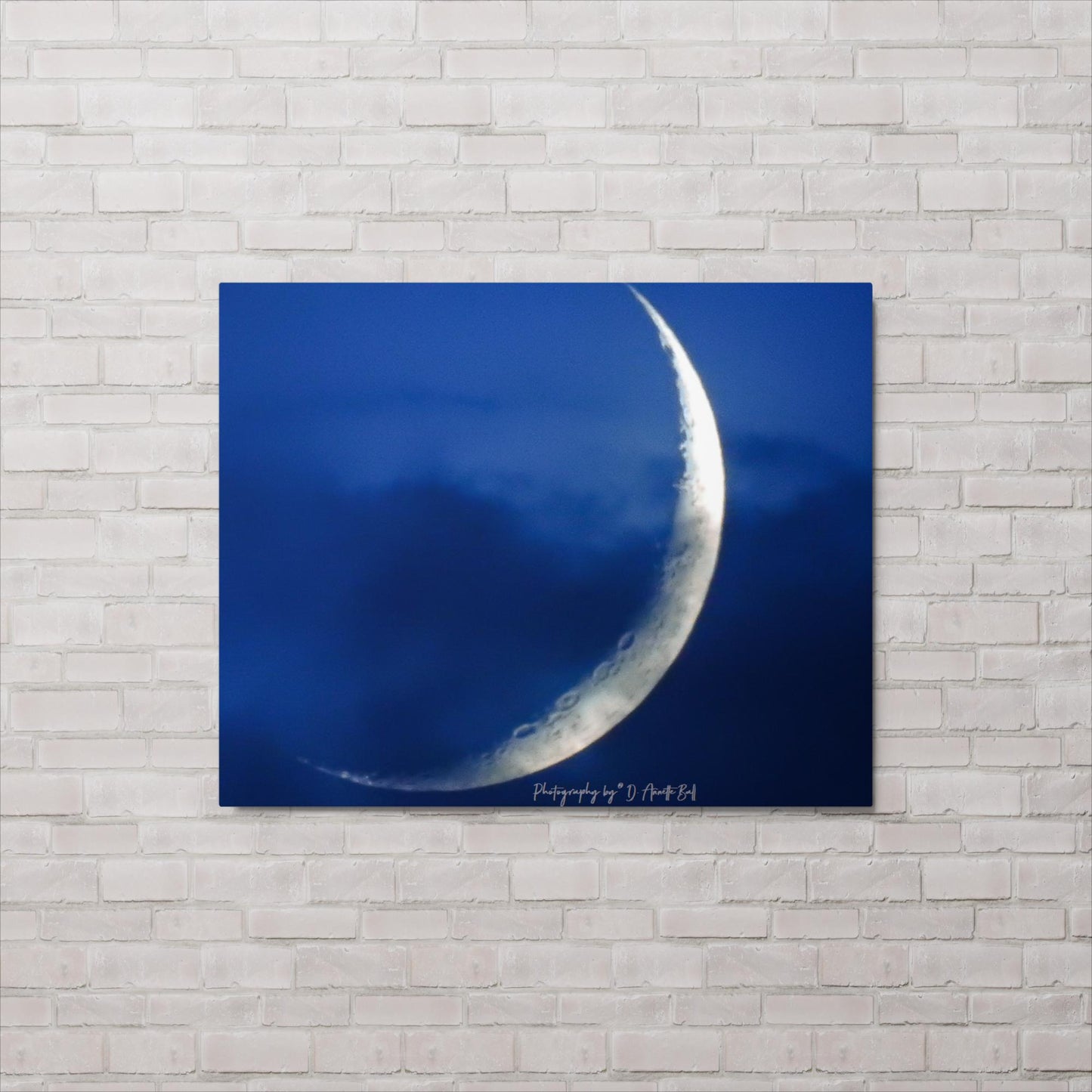 Blue Tone (Metal print)