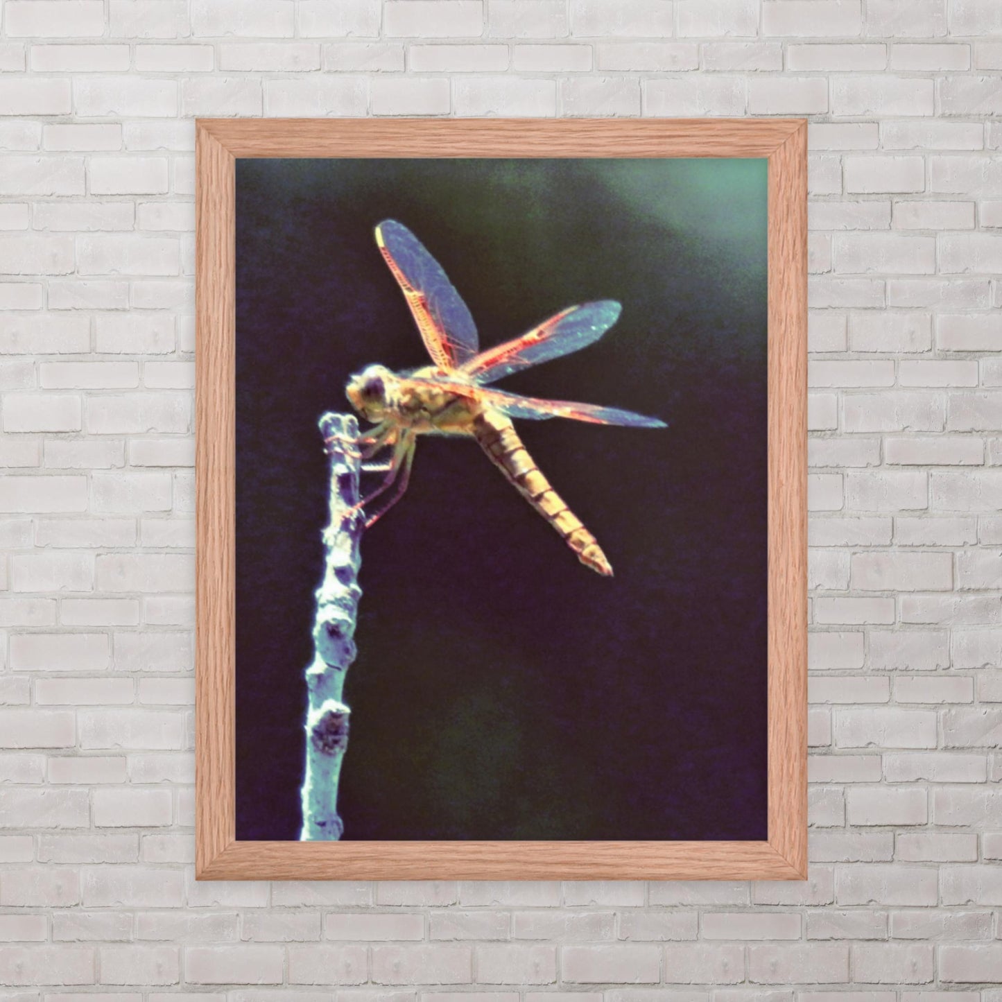 Steiglitz (Framed photo)