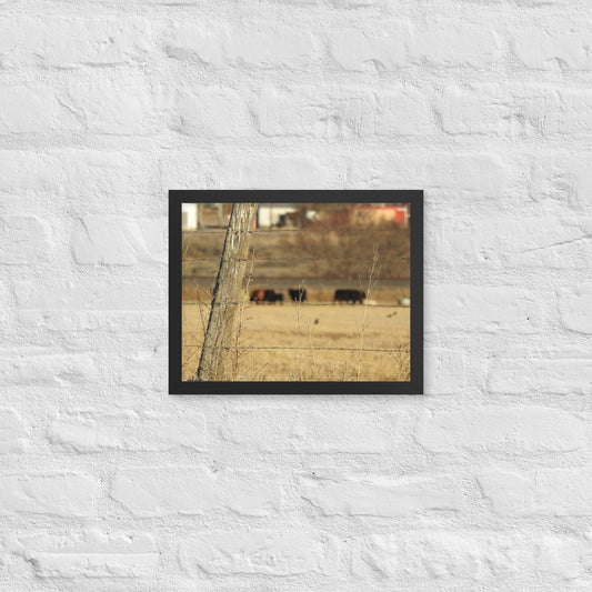 Herd (Framed poster)