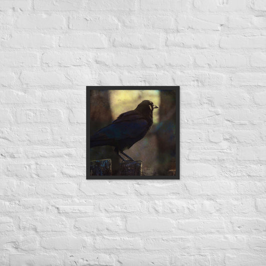 South Raven (Framed poster)