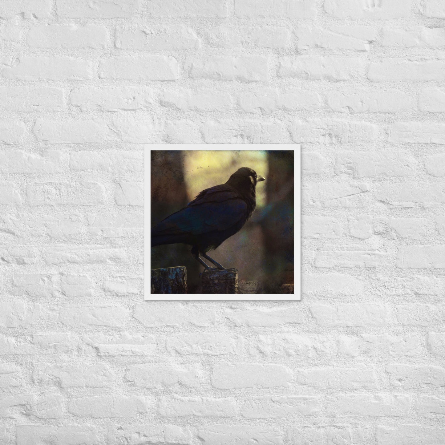 South Raven (Framed poster)