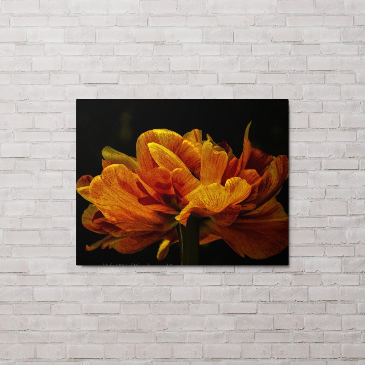 Fire Petal Vessel (Metal print)