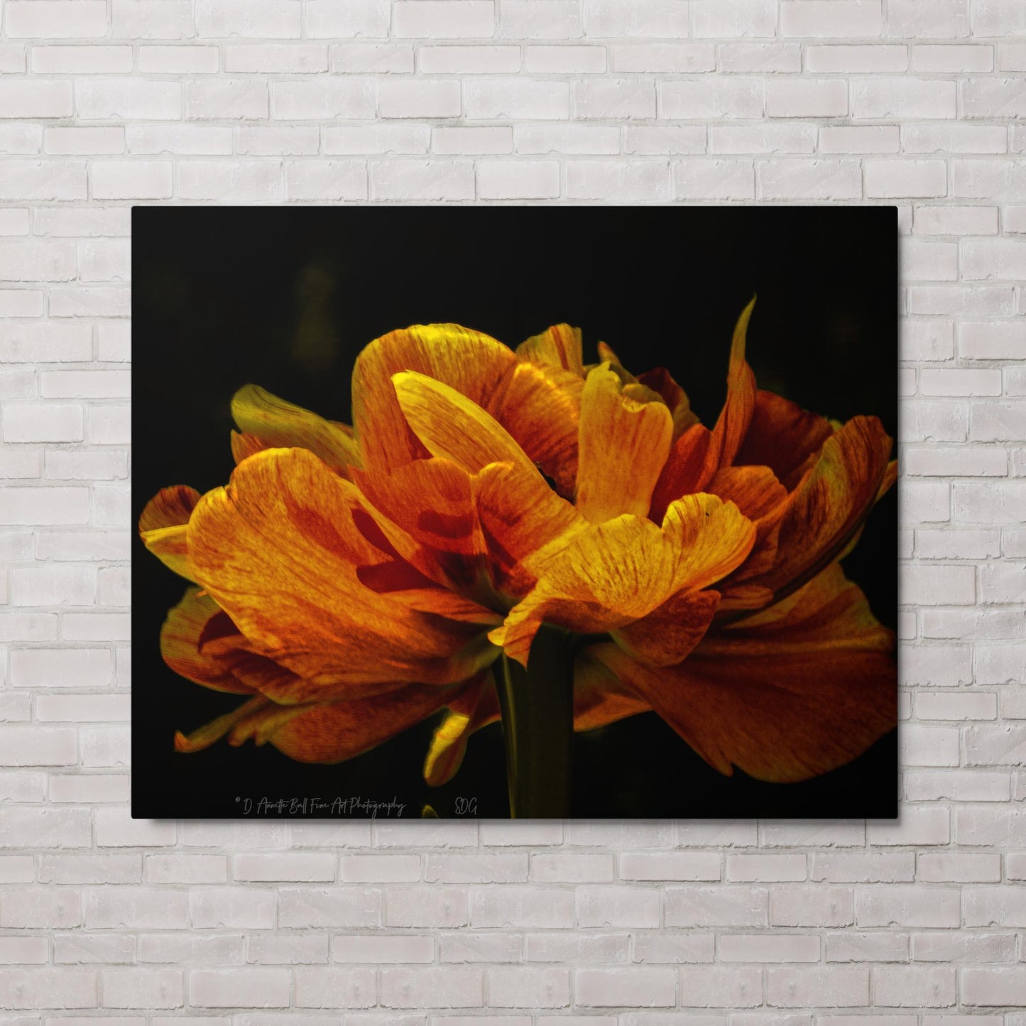 Fire Petal Vessel (Metal print)