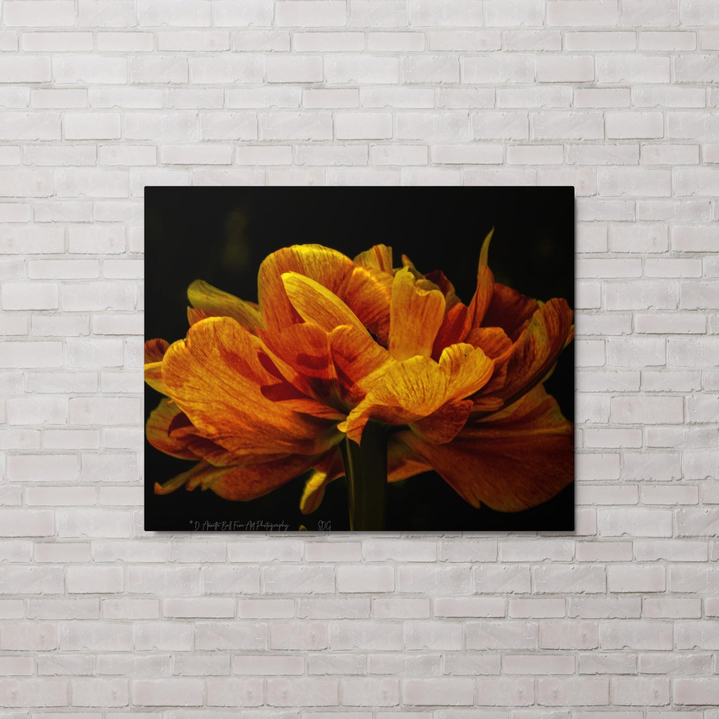 Fire Petal Vessel (Metal print)